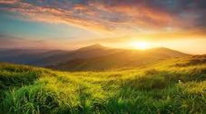 🌿 Nature: The Silent Healer of Our Lives